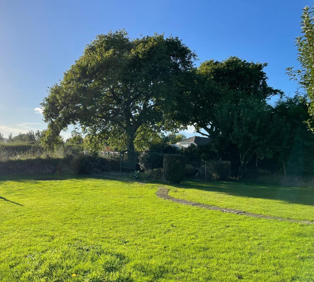 The Garden Room - A Cosy Country Stay In Cornwall Callington Eksteriør bilde